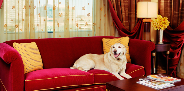 Kimpton Hotels - Bark and Bath
